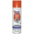 Radiator Specialty Co 20 oz. Aerosol Engine-Brite Engine Clear 615-EB-1